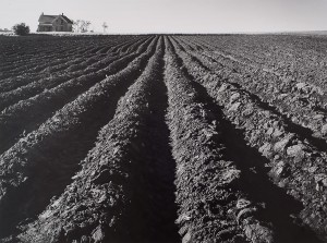 Wright Morris, Plowed Land, Iowa-1947
