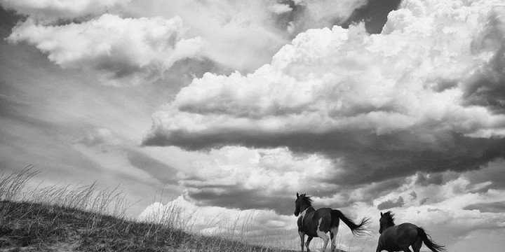 Brett Erickson, Horses and Gathering Storm, photograph