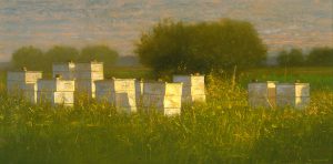 Raymond Knaub, Prairie Bees, oil on linen, 1996