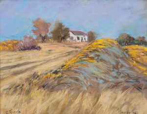 Mary Louise Tejeda Brown, A Nebraska Sketchbook #2137- Wasserburger Farm. The reflection of the blue sky on the yellow hay had caught my eye. January 29, 1998, 11:00 a.m., pastel, 1998