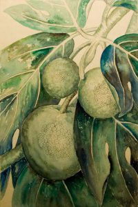 Anna Fay Albin, Bread Fruit, Pencil, watercolor, 1948