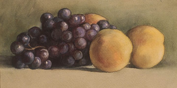 Marion Canfield Smith, Untitled (grapes & peaches), watercolor on paper