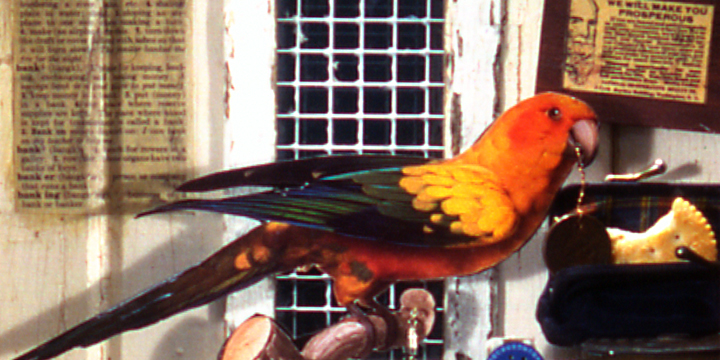 David Stewart, First National Parrot, assemblage, c. 1993