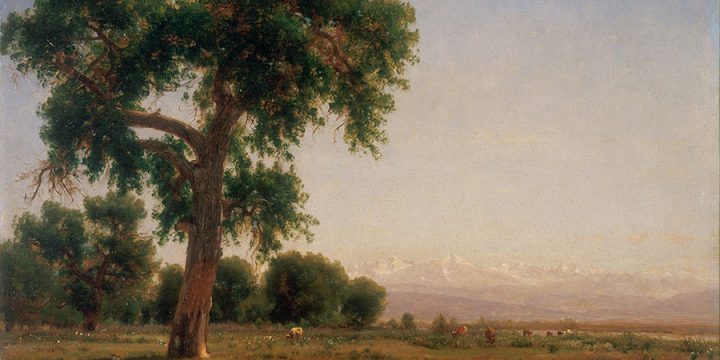 Thomas Worthington Whittredge, Cattle Grazing Along the Platte, oil on canvas,1871