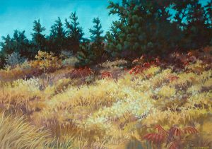 Donna Binfield, Suma Ridge, pastel, 1993