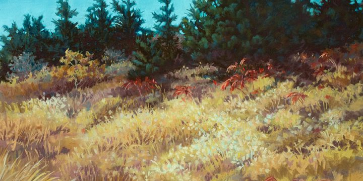 Donna Binfield, Suma Ridge, pastel, 1993