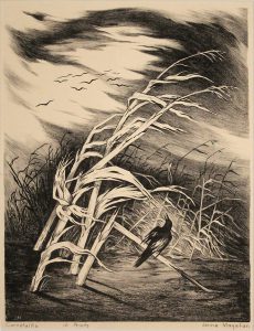 Jenne Magafan, Cornstalks, lithograph (edition of 10)