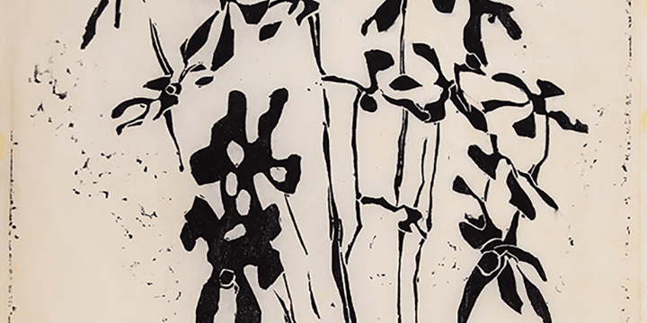 Shadows of Paper Flowers, linocut, 1969, 17¾ x 14&frac12"