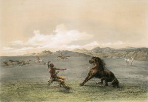 George Catlin, Catlin's North American Indian Portfolio, Catching The Wild Horse, lithograph, c. 1844