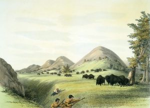 George Catlin, Catlin's North American Indian Portfolio, Buffalo Hunt, Approaching In a Ravine, lithograph, c. 1844