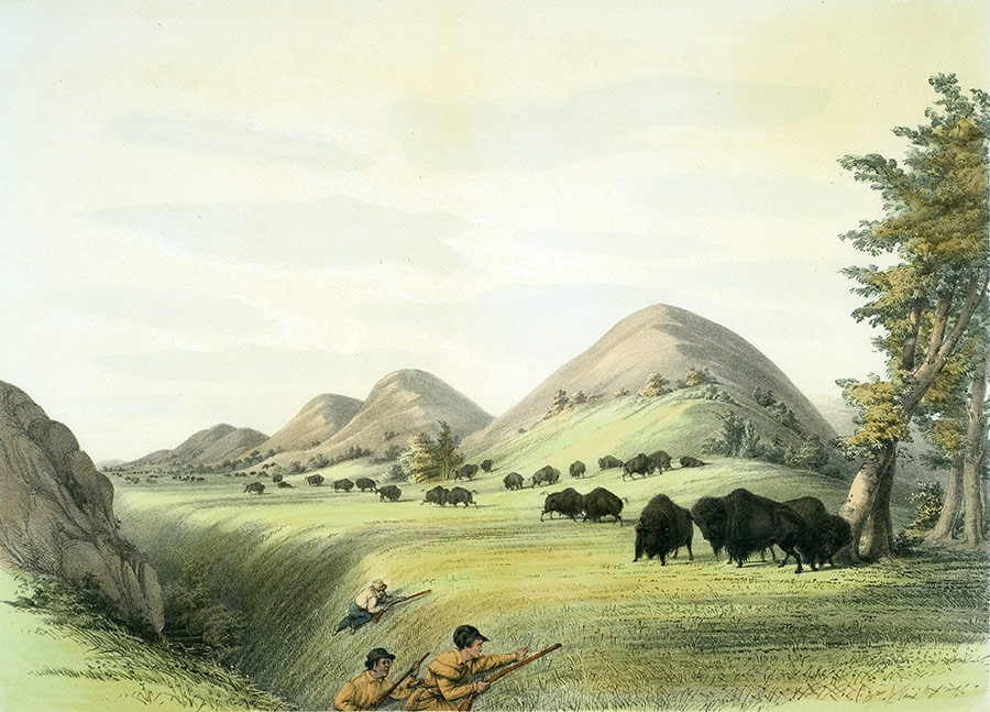 George Catlin  Catlin's North American Indian Portfolio: Hunting