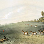George Catlin, Catlin's North American Indian Portfolio, Antelope Shooting, lithograph, c. 1844