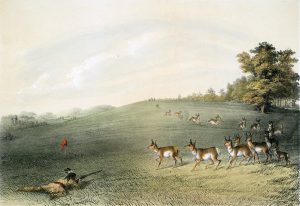George Catlin, Catlin's North American Indian Portfolio, Antelope Shooting, lithograph, c. 1844