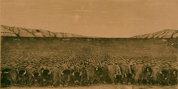 Martin Schenk Garretson, The Herd, 1860, photogravure, 1913