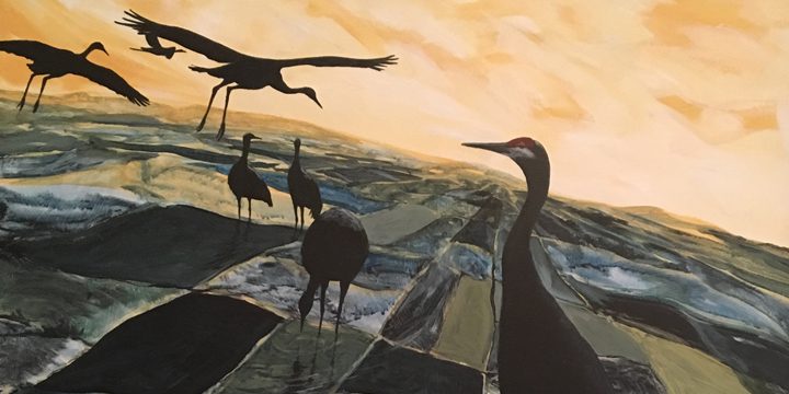 Cranes: Taking Flight
