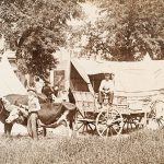 Solomon D. Butcher, Ezra Meeker with his oxen and wagons in Kearney, Nebraska c. 1906, black & white photograph