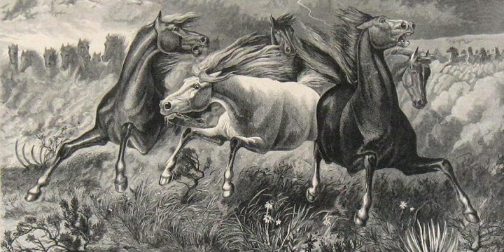 William de la Montagne Cary, A Stampede of Wild Horses, wood engraving, published in The Aldine