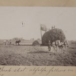 Solomon D. Butcher, C. B. Reynolds, alfalfa scene on the Watson Ranch, Buffalo County, Nebraska 1904, black & white photograph, 1904