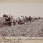 Solomon D. Butcher,Mowing Alfalfa on Watson Ranch by C. B. Reynolds 1904, black & white photograph, 1904