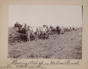 Solomon D. Butcher,Mowing Alfalfa on Watson Ranch by C. B. Reynolds 1904, black & white photograph, 1904