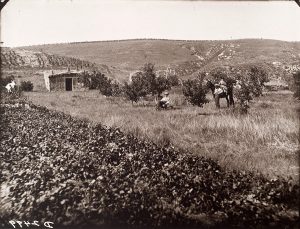 Solomon D. Butcher, The William Marsh homestead near the Genet post office, Custer County, Nebraska 1886 (altered), black & white photograph (from glass plate negative in the Nebraska State Historical Society Collection), c. 1982-1984