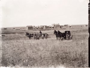 Solomon D. Butcher, Comstock, Custer County, Nebraska, 1904, black & white photograph (from glass plate negative in the Nebraska State Historical Society Collection), c. 1982-1984