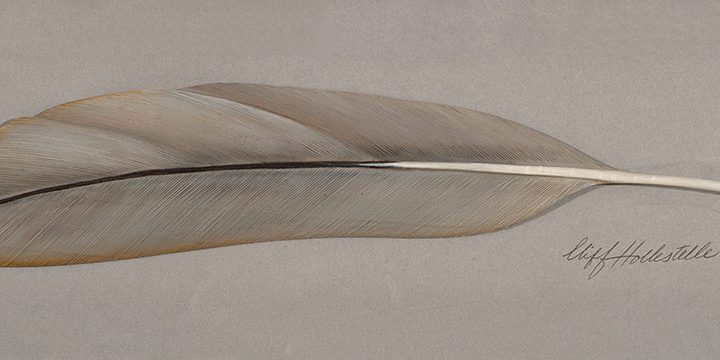 Cliff Hollestelle, The The Chase - Sandhill Crane Feather, woodcarving, jelutong, acrylic, 1998