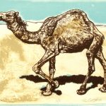 Robert Weaver, Camel, color lithograph (23/25), 1977