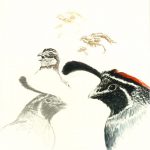 Robert Weaver, Untitled (study-5 bird heads), ink, pencil, watercolor, 1987