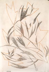 Freda Spaulding, Preparatory Drawing #2 for Untitled (#2 Japanese paper), graphite, color pencil, n.d.