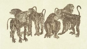 Rudy Pozzatti, Darwin’s Bestiary - Baboons, artist book: lithograph (79/191), 1985-1986