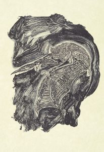 Rudy Pozzatti, Darwin’s Bestiary - Bat, artist's book: lithograph (79/191),1985-1986