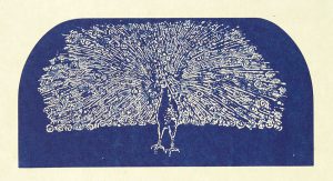 Rudy Pozzatti, Darwin’s Bestiary - Colophon with Peacock, artist book: lithograph (79/191), 1985-1986