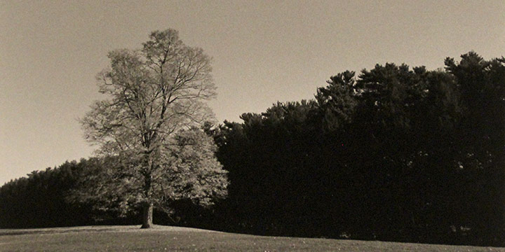 George Tuck, Fall Foliage, Hudson River Valley, N.Y., black & white photograph, 1987