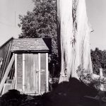 Wright Morris, Eucalyptus and Outhouse, Claremont, California, 1935