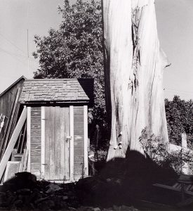 Wright Morris, Eucalyptus and Outhouse, Claremont, California, 1935