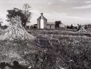 Wright Morris, Farmhouse with White Chimney from Cornfield, Near Culpeper, Virginia, 1940, silver print, 1975