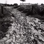 Wright Morris, Rutted Road, Rural Ohio, 1942, silver print, 1975