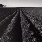 Wright Morris, Plowed Land, Iowa, 1947, silver print, 1975