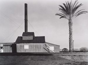 Wright Morris, Powerhouse and Palm Tree, Near Lordsburg, New Mexico, 1940 silver print, 1975