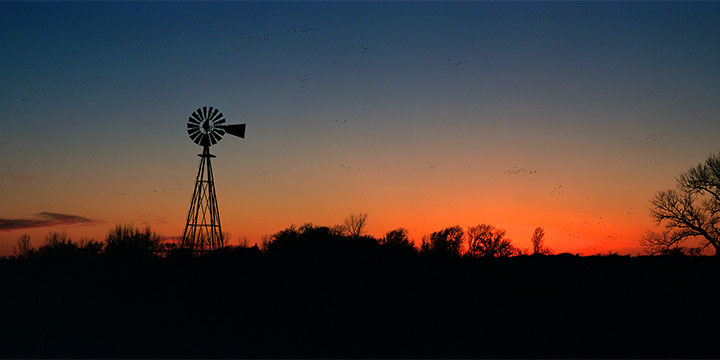 Tom Mangelsen, Prairie Song (2700), color photograph, 1998