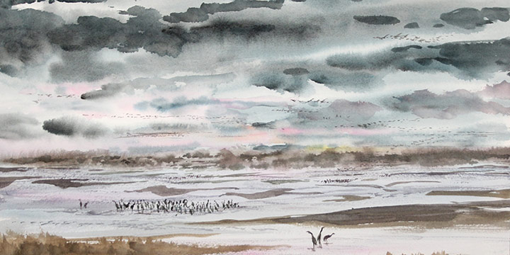 David Wiebe, Cranes in Grey, watercolor, 2021, 17 × 23"