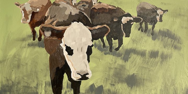 Cassia Kite, Summer Cattle Out to Pasture, acrylic and oil on canvas, 2022