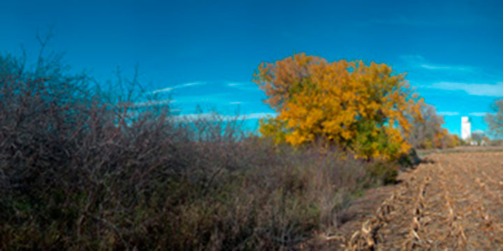 John Spence, Landspace Series: Landscape Series: South of Princeton, Lancaster County, Nebraska, October 28, 2014, slver halide color photograph, 2014