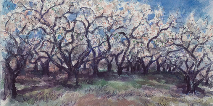Grant Reynard, Apple Trees in Blossom, Vermont, watercolor, n.d.